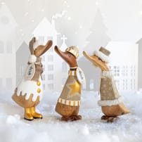 XD3GC lifestyle image (2).jpg