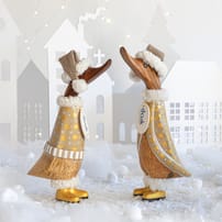 XD3GC lifestyle image (3).jpg