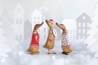 XD3CC lifestyle image (1).jpg