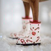 DCUK_Candy Cane Ducklets_03.jpg