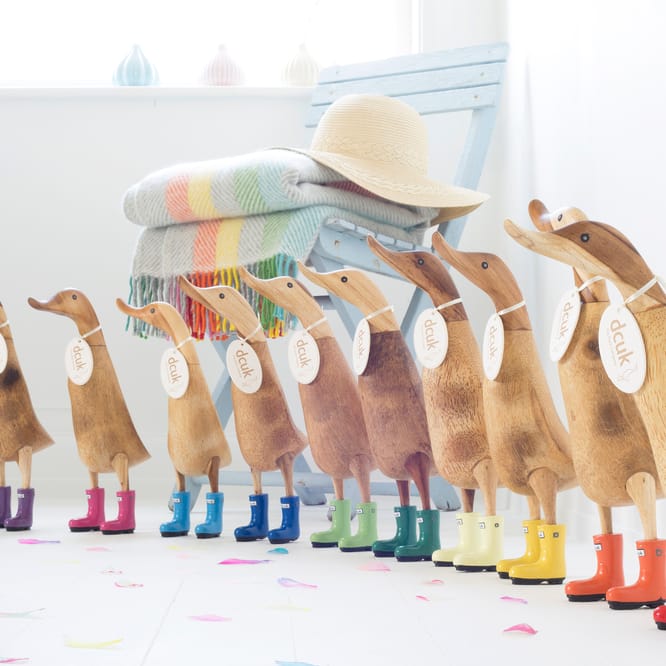 Wooden ducks with hot sale wellies and hat