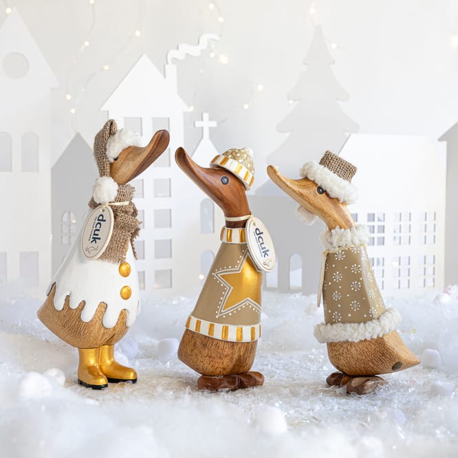 XD3GC lifestyle image (2).jpg